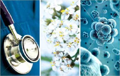 Solucionalo Naturalmente